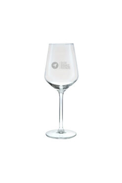 Savor Wine Glass